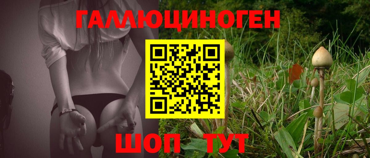 Клинцы  Галлюциногенные грибы Psilocybine cubensis  Псилоцибиновые грибы Magic Shrooms  Вход с VPN 