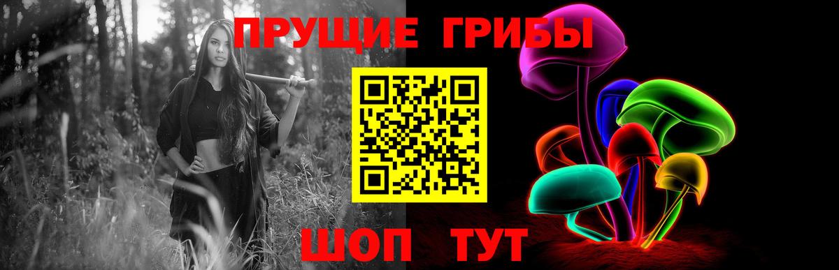 Псилоцибиновые грибы GOLDEN TEACHER Клинцы